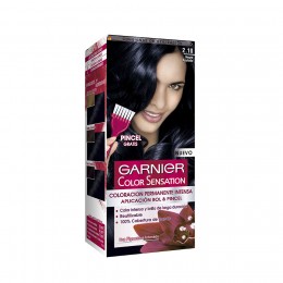 Garnier Tintes Color Sensation 2.10