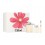 chloe edp 100 vapo estuche